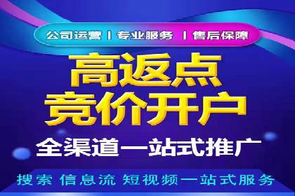 竞价SEM托管案例：精准营销的利器